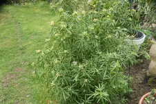 DSC01180.webp