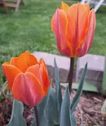 20260418_152522.webp