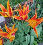 20260418_152458.webp