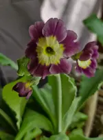 20260419_130941.webp