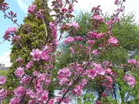 4.webp