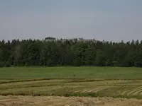 S-Sörkna3.webp
