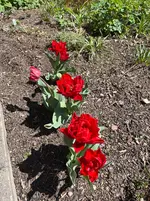 IMG_0858.webp
