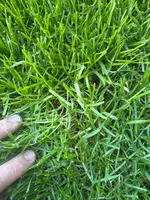 IMG_AB39FEE8-821B-4B8D-8F77-6FCCFBD3AF2C.webp