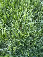 image (3).webp