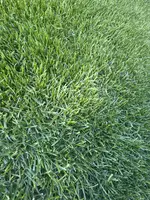 image (2).webp