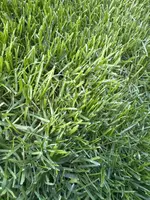 image (1).webp
