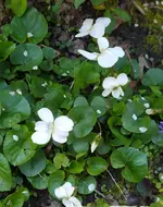 IMG_20260423_130628.webp