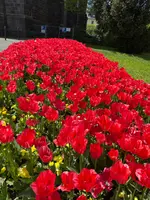 IMG_8134.webp