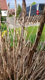 20260424_172525.webp