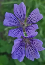 20260424_174759.webp