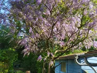 IMG_20260424_172311.webp