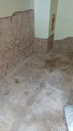 1000003328.webp