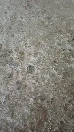 1000003324.webp
