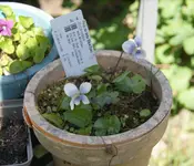 DSC01204.webp