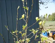 DSC01201.webp