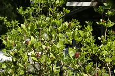 DSC01202.webp