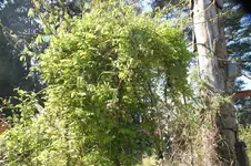DSC01205.webp