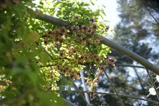 DSC01208.webp