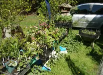 DSC01203.webp