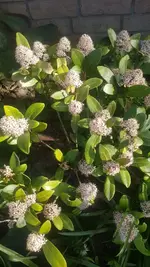 14.31.37 (3).webp