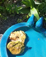 20260425_163152.webp
