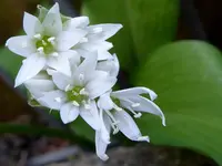 001.webp
