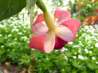 033.webp
