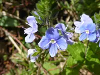 045.webp