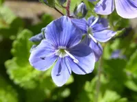 046.webp