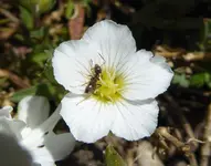 005.webp