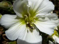 010.webp