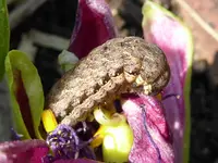 011.webp