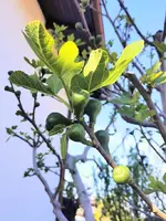 IMG_20260427_173408.webp