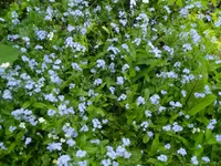 IMG_20260428_120847.webp