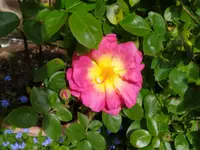 IMG_20260428_120824.webp