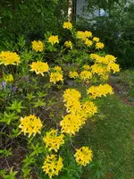 IMG_20260428_120800.webp
