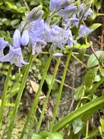 Bild…..webp