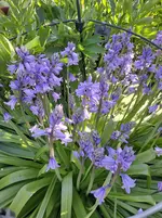 20260429_172556.webp