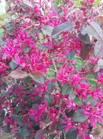 20260415_183435.webp