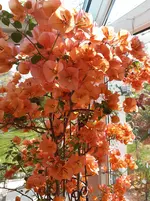 20260414_143412.webp