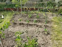 IMG_20260428_162219.webp