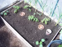 Garten 01.05 (1).webp