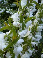 DSC08628.webp