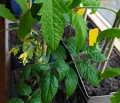 IMG_20260501_202218.webp