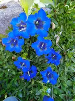 IMG_20260501_140841.webp