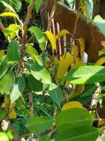 20260430_145435.webp