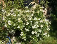 DSC01211.webp