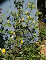 DSC01212.webp