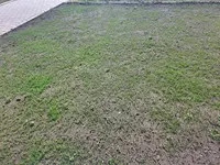 20260430_165407.webp